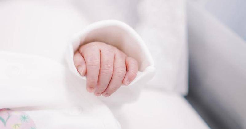 Instagram.com/vaelovexia